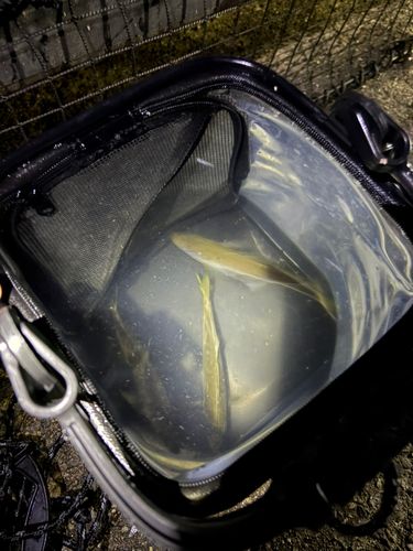 アジュール舞子