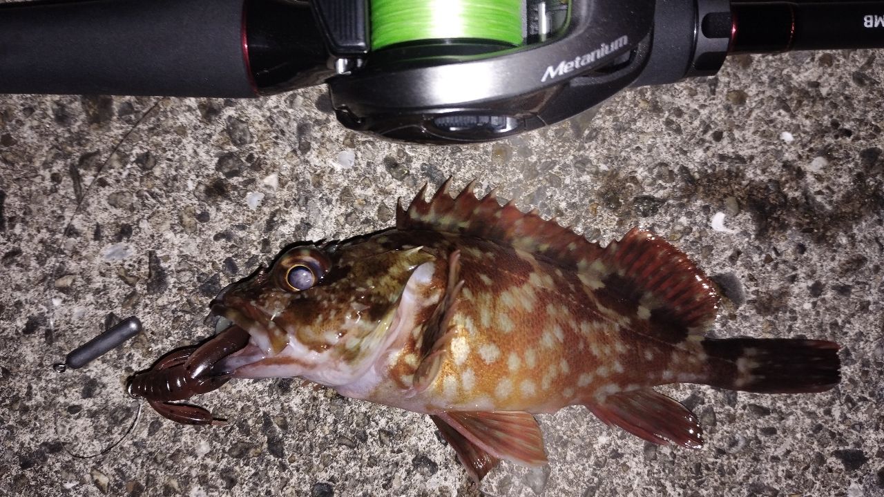 【極美品】DAIWA 22 HRF　83　MB・Q　ハードロックフィッシュ DAIWA 22HRF® (ハードロックフィッシュ) 83MB・Qの最安値・インプレ