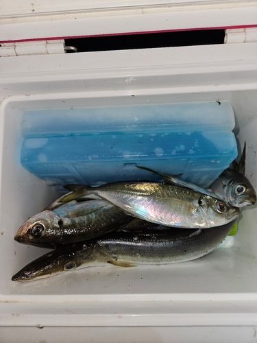 小名浜港アクアマリンふくしま周辺