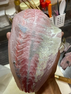 ヒレナガカンパチの釣果