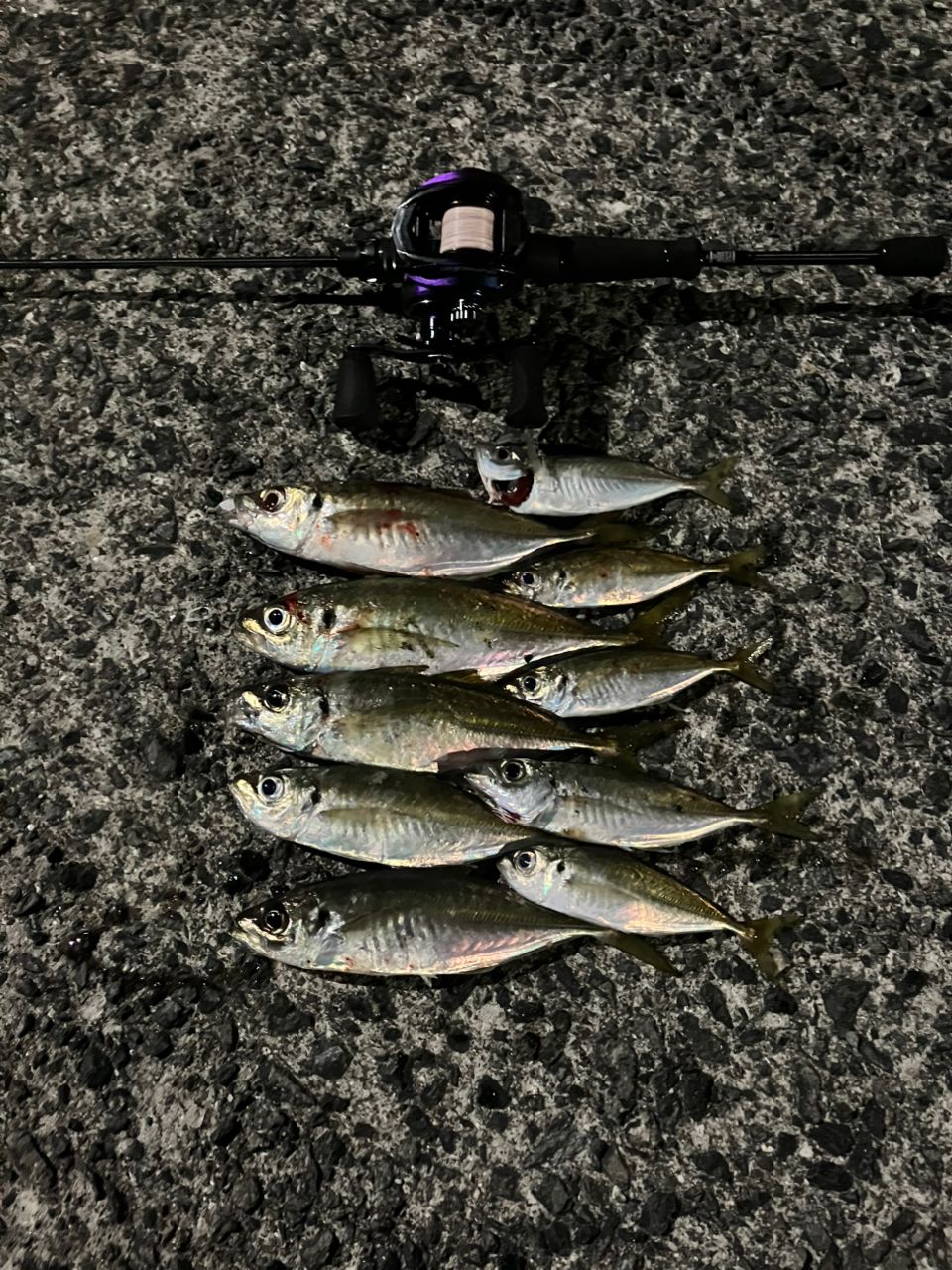 AbuGarcia ソルティーステージ プロトタイプ ベイトフィネス XAJC