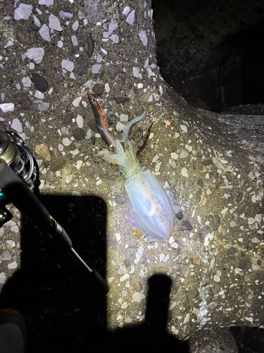 日吉原公共埠頭