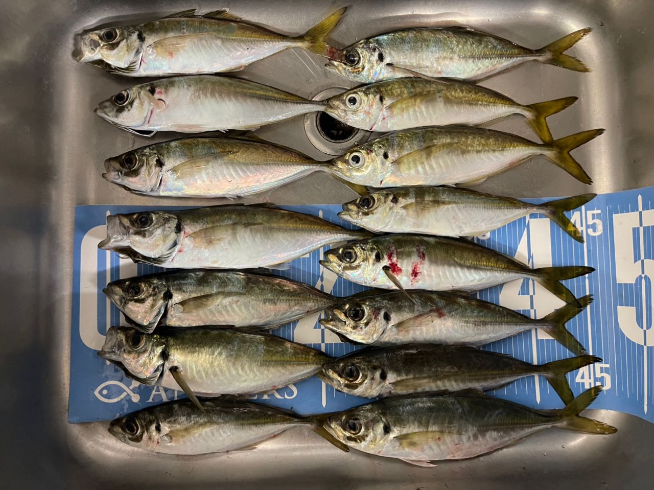 DAIWA 16メバリング X 74UL-Tの最安値・インプレ・釣果 | 本音の口コミ