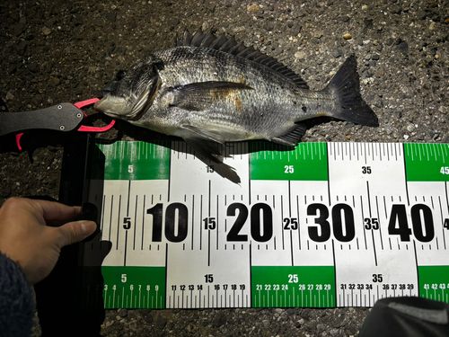 養老川臨海公園