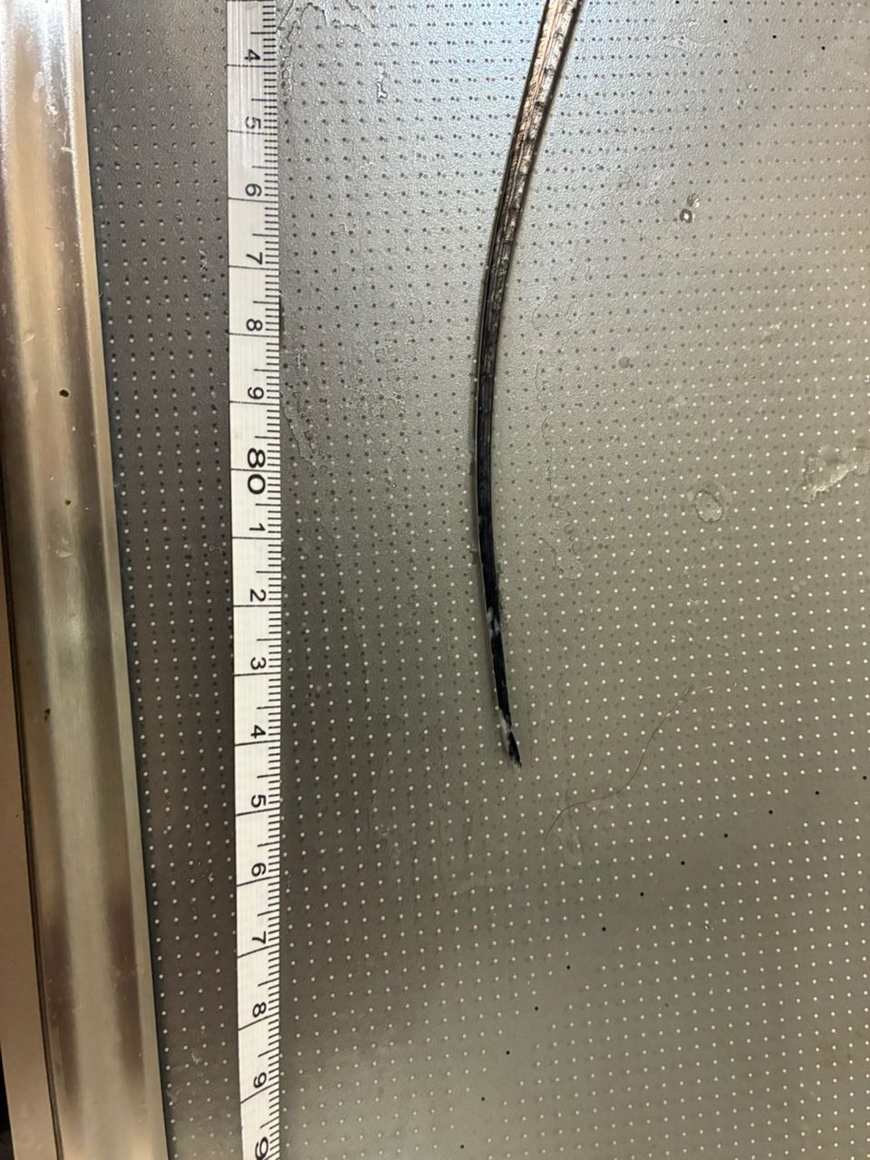 ポセイドン壱@ポセイドンを追い求める男さんの釣果 3枚目の画像