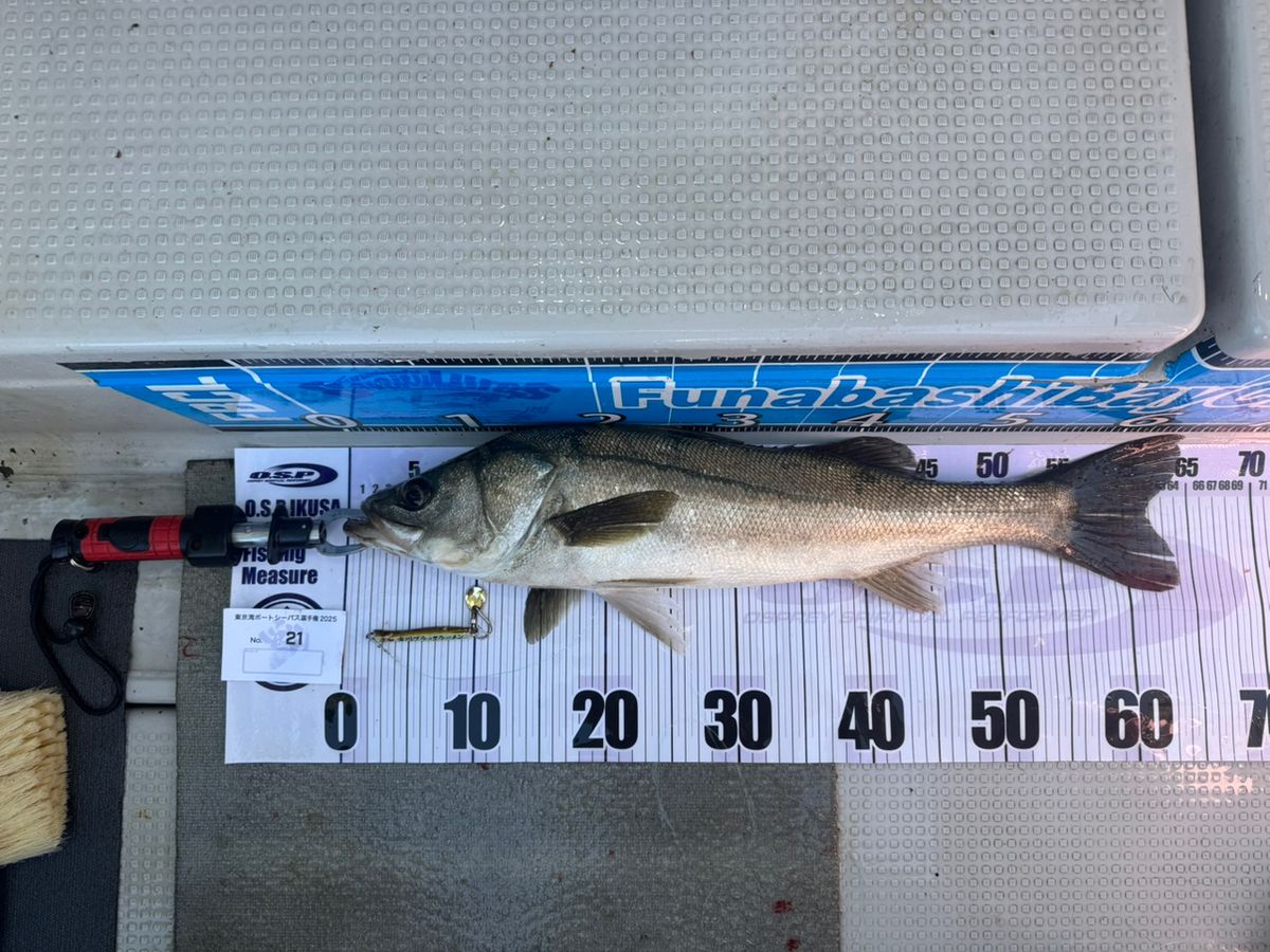 E-OSさんの釣果 1枚目の画像
