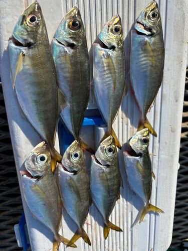 本牧海づり施設