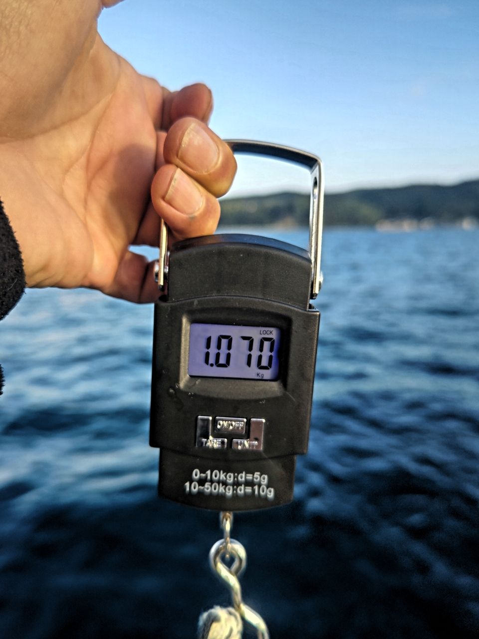 磯めちゃんさんの釣果 2枚目の画像