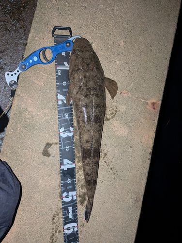 塩屋海岸（石川）