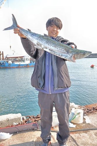 サワラの釣果