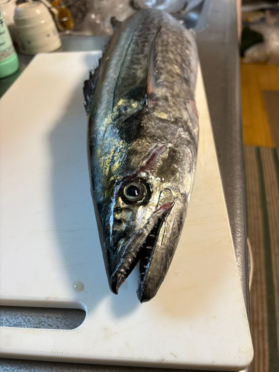 川和　あきらさんの釣果 1枚目の画像