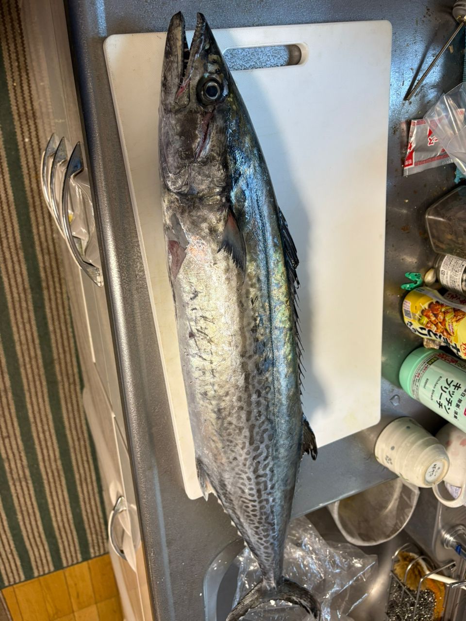 川和　あきらさんの釣果 2枚目の画像