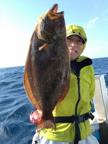 ヒラメの釣果