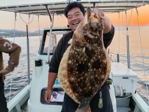ヒラメの釣果