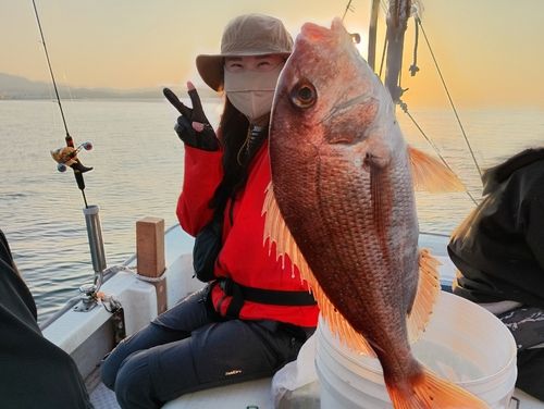 マダイの釣果