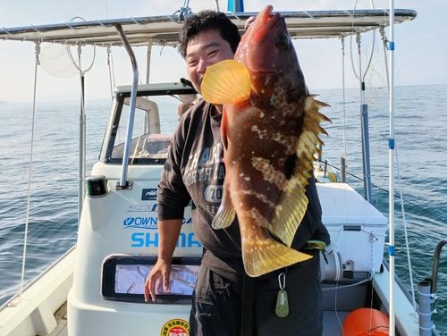 キジハタの釣果