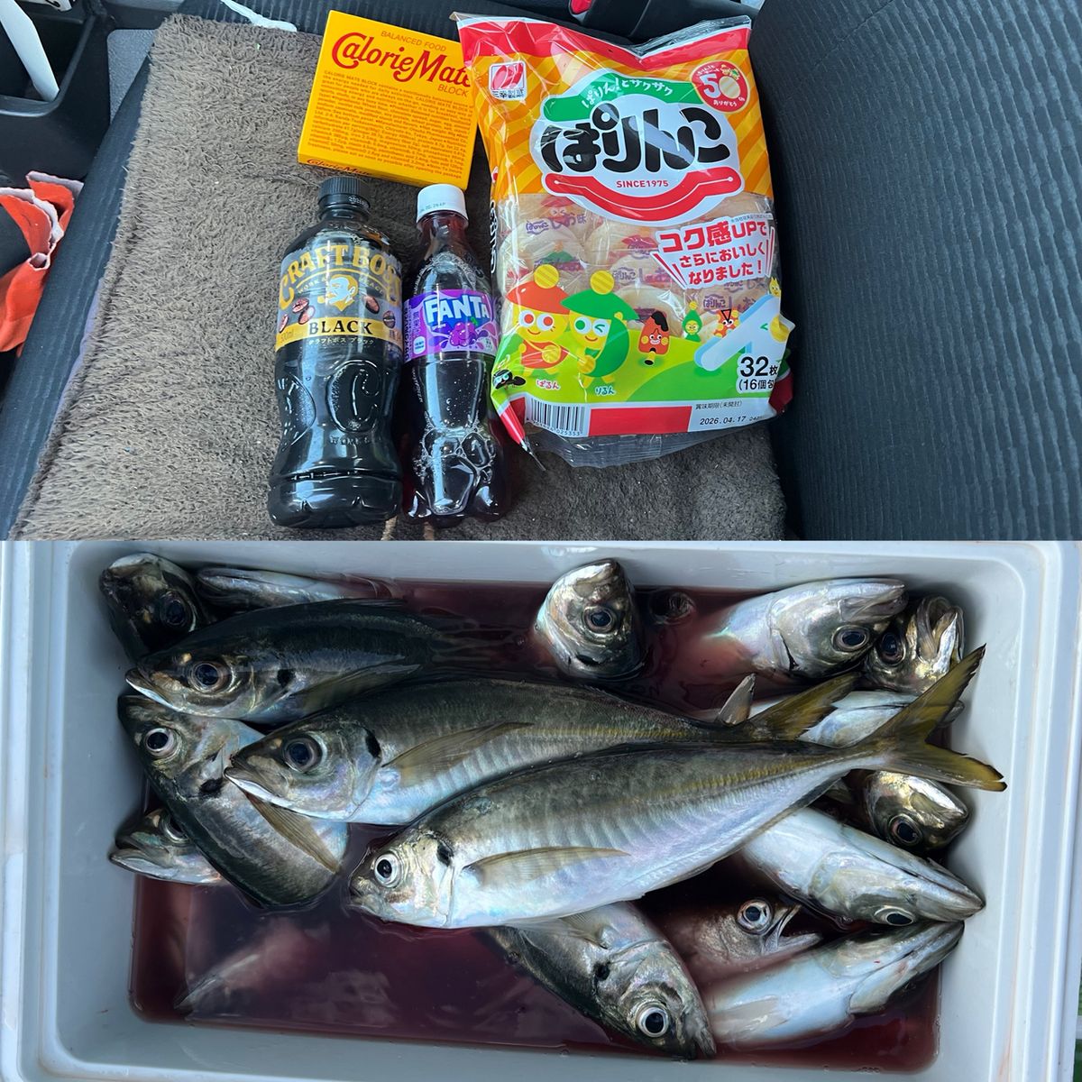 政信丸さんの釣果 3枚目の画像