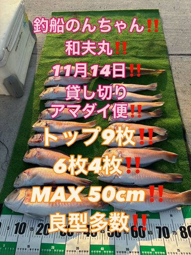 シロアマダイの釣果