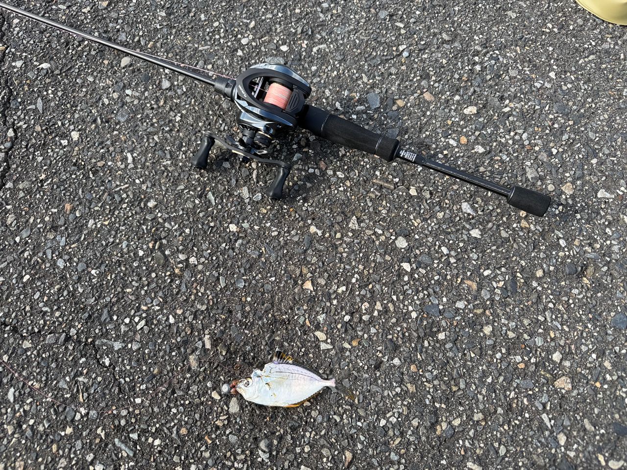 AbuGarcia ソルティーステージ プロトタイプ ベイトフィネス XAJC