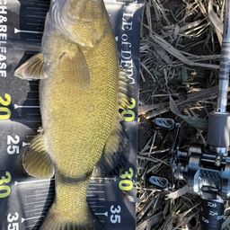 スモールマウスバス