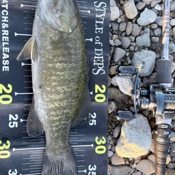 スモールマウスバス