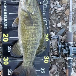 スモールマウスバス