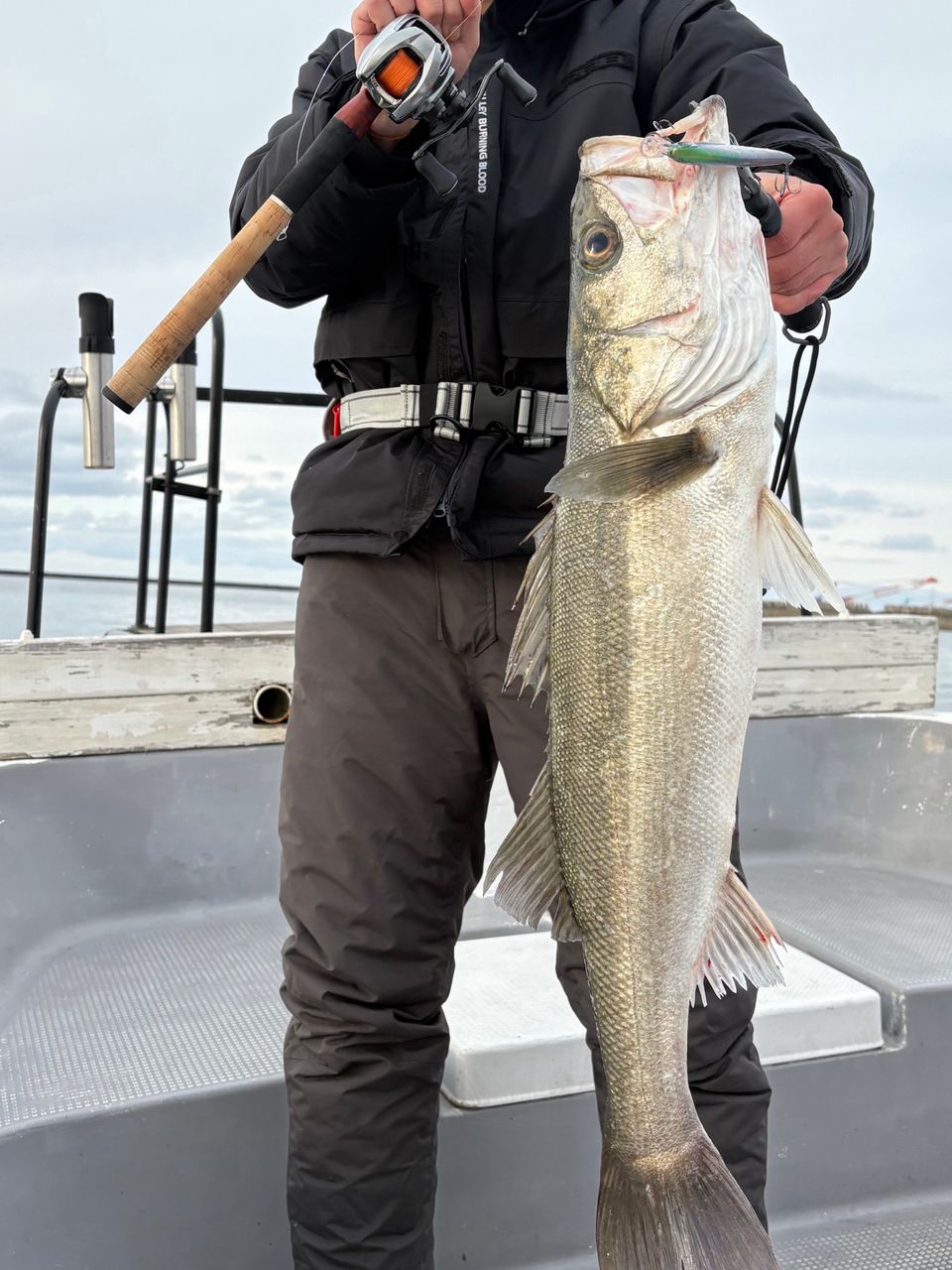 ぷーたろう🐯さんの釣果 1枚目の画像