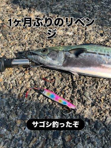 南港魚つり公園