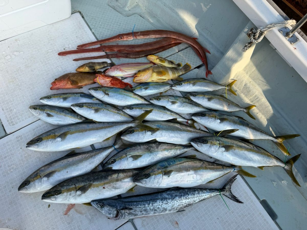 遊漁船supportさんの釣果 3枚目の画像