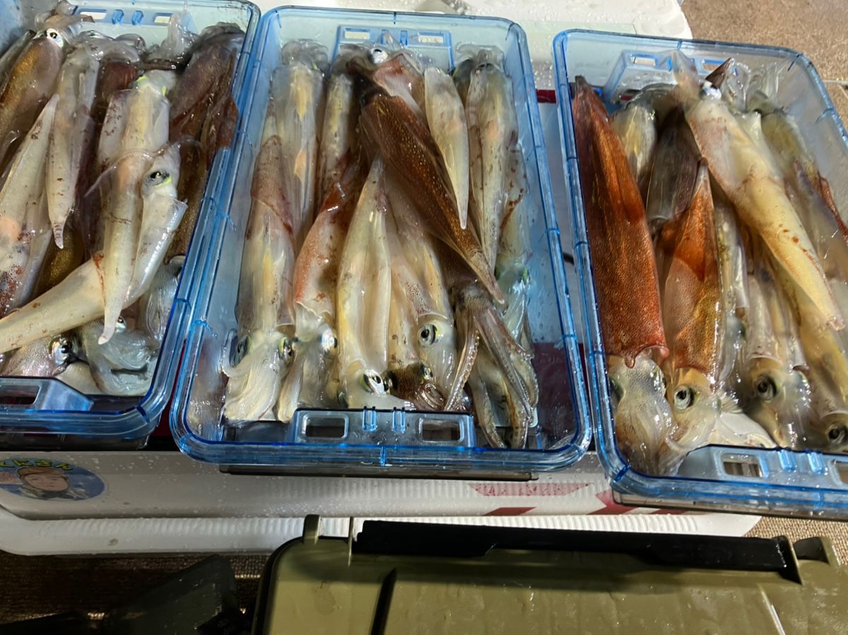 kunisanさんの釣果 2枚目の画像