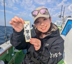 カワハギの釣果