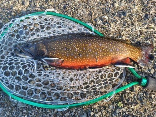 蔵王フォレストスプリングス