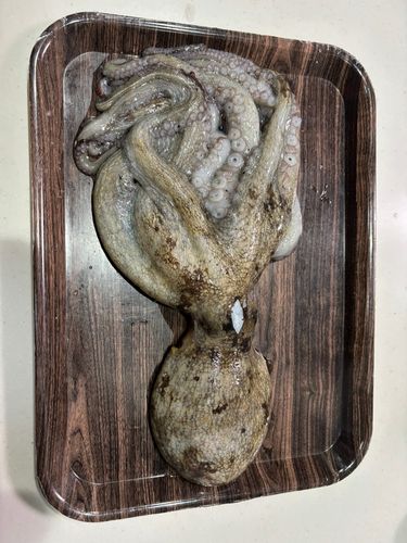 ベイサイドビーチ坂