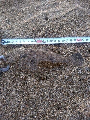 塩屋海岸（石川）