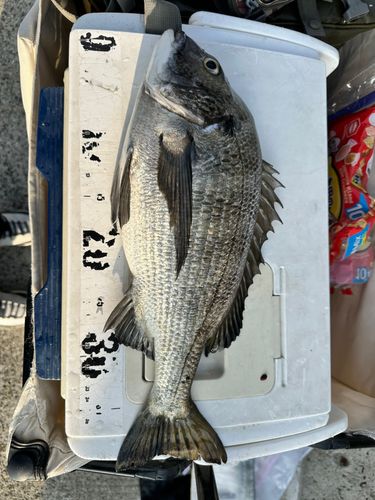 アジュール舞子