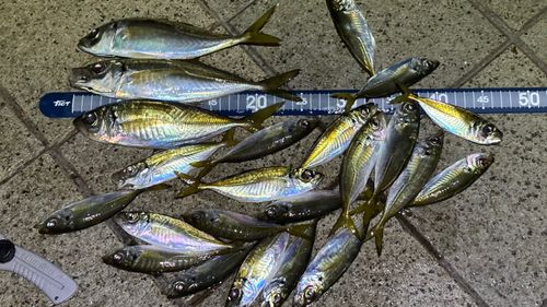 南芦屋浜ベランダ