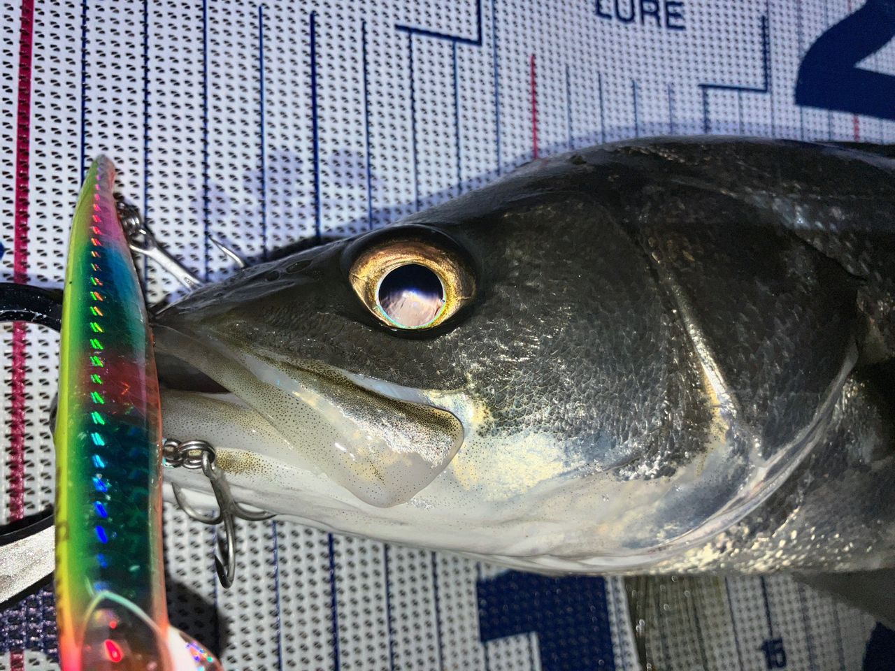 値下げしました❗️シマノ20 ストラディックSW 4000HG シマノ ストラディック SW 4000HG (リール) 価格比較 - 価格.com