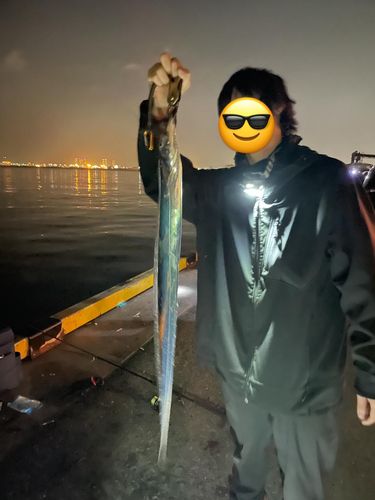 タチウオの釣果