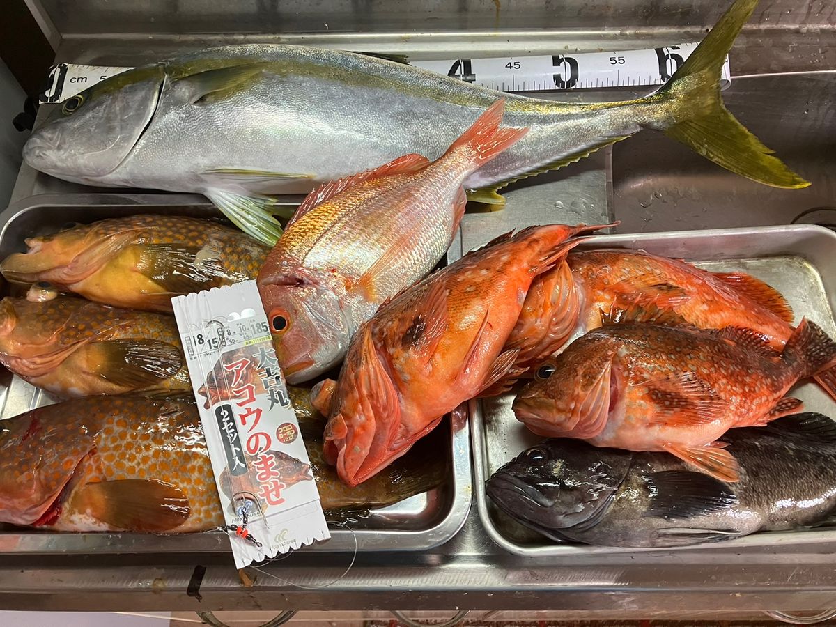 kunisanさんの釣果 3枚目の画像