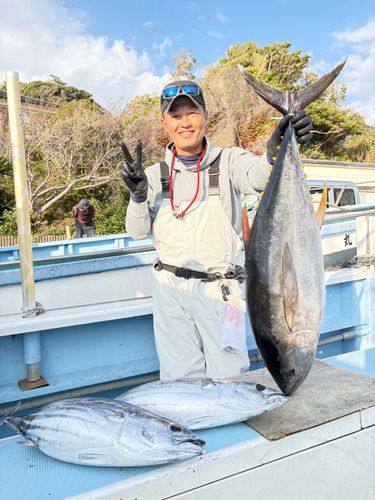 キハダマグロの釣果