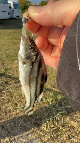 馬入ふれあい公園