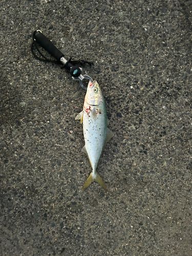 関門海峡（山口）