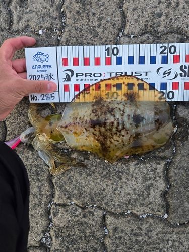 鞠山海遊パーク