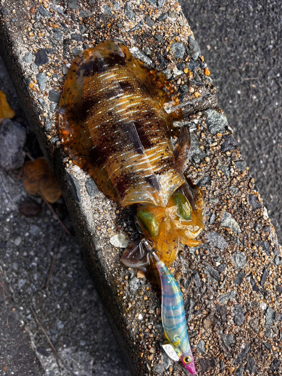 DAIWA 16エメラルダス ストイスト AGS 76MMH-SMTの最安値・インプレ