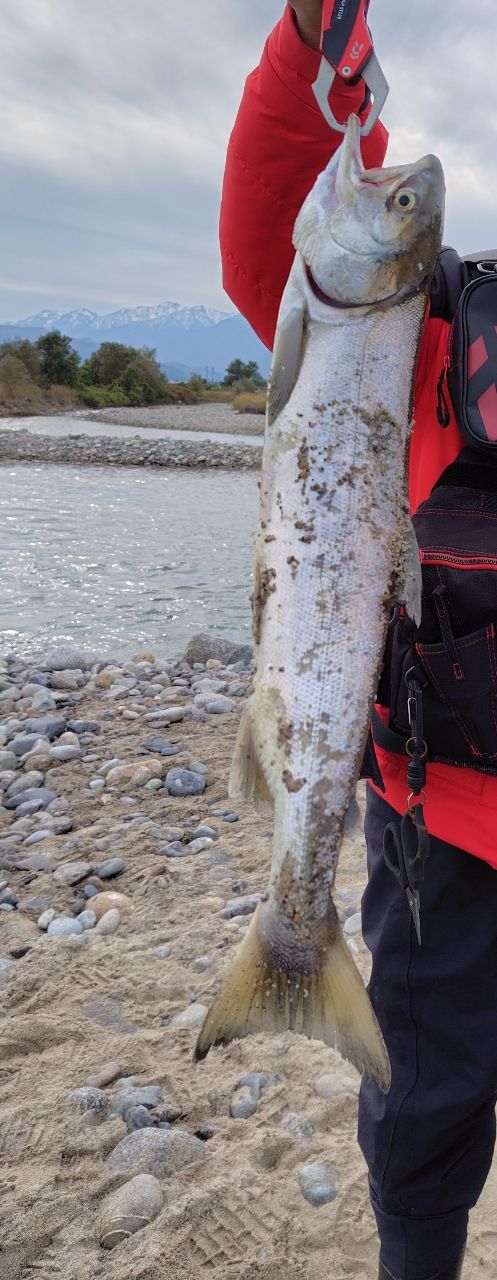 DAIWA 21オーバーゼア グランデ（サーフモデル） 97Mの最安値