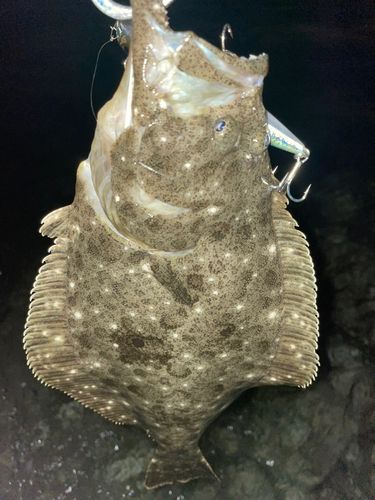 東京湾（アクアライン〜富津）