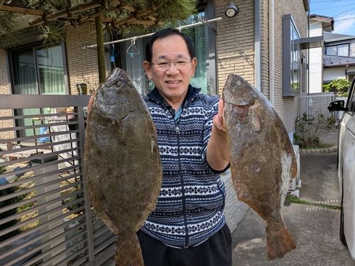 ヒラメの釣果