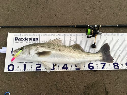 秋田火力発電所前