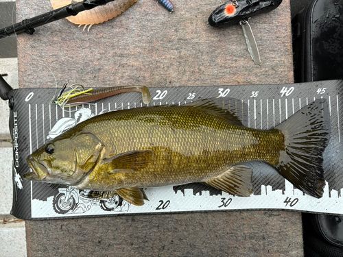 黒又川第一ダム湖