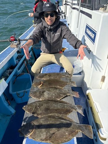 ヒラメの釣果
